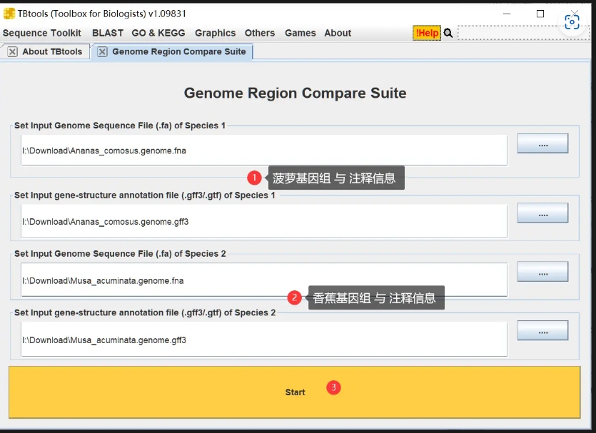 Genome Region Compare
