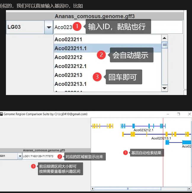 Genome Region Compare