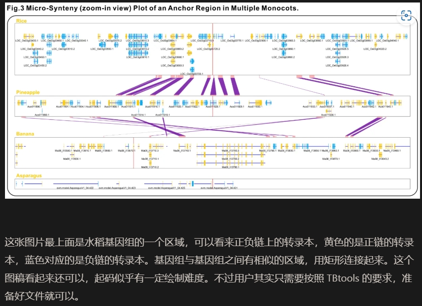 Genome Region Compare