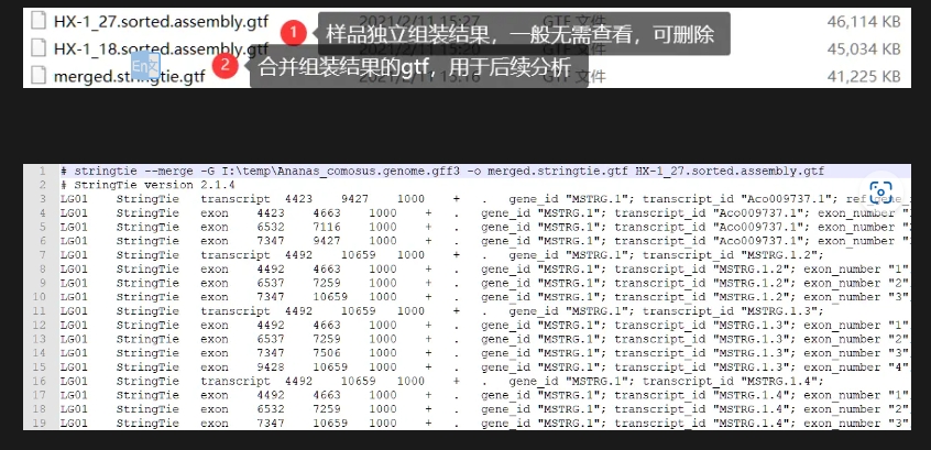 结果